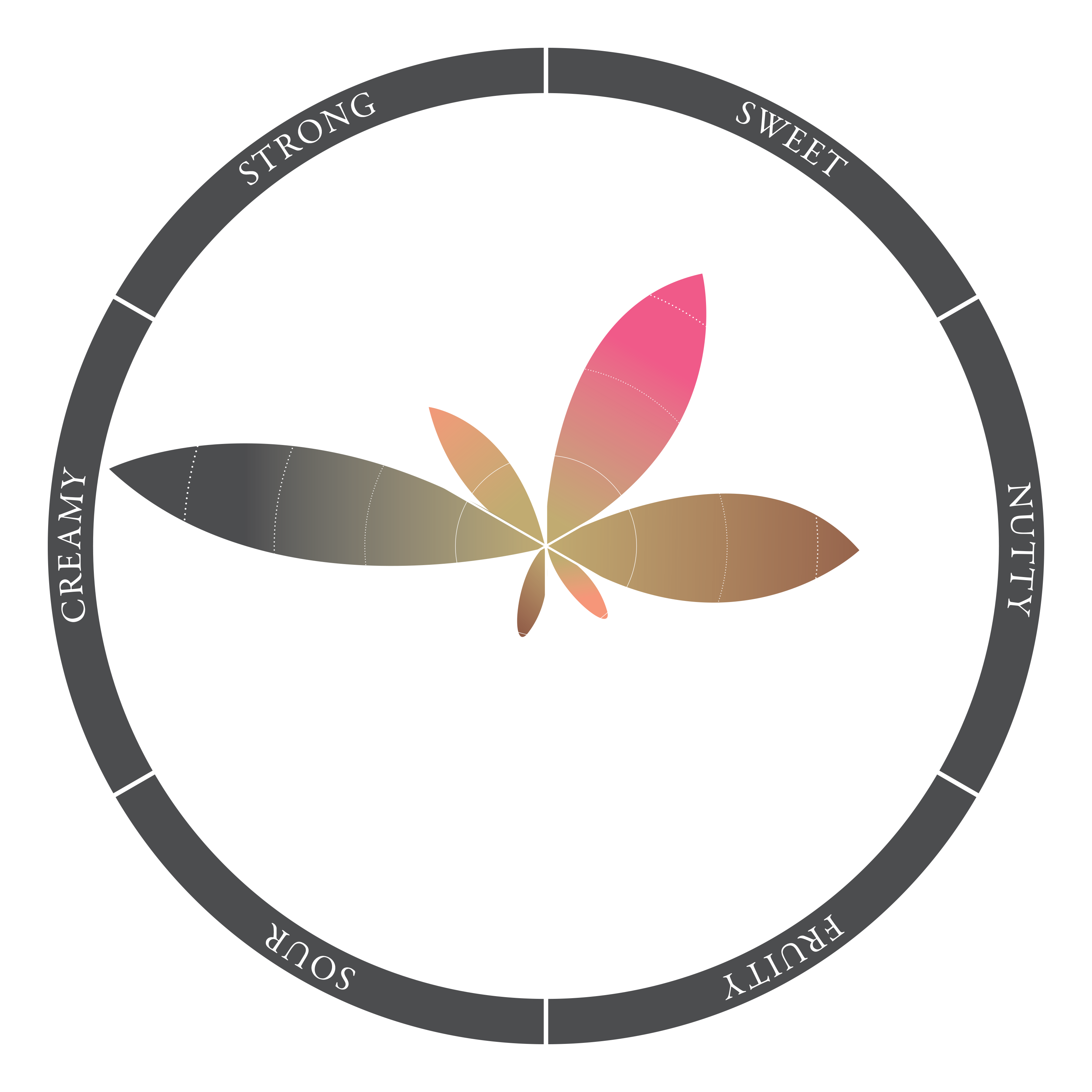 Baxter's Coffee Cream Liqueur