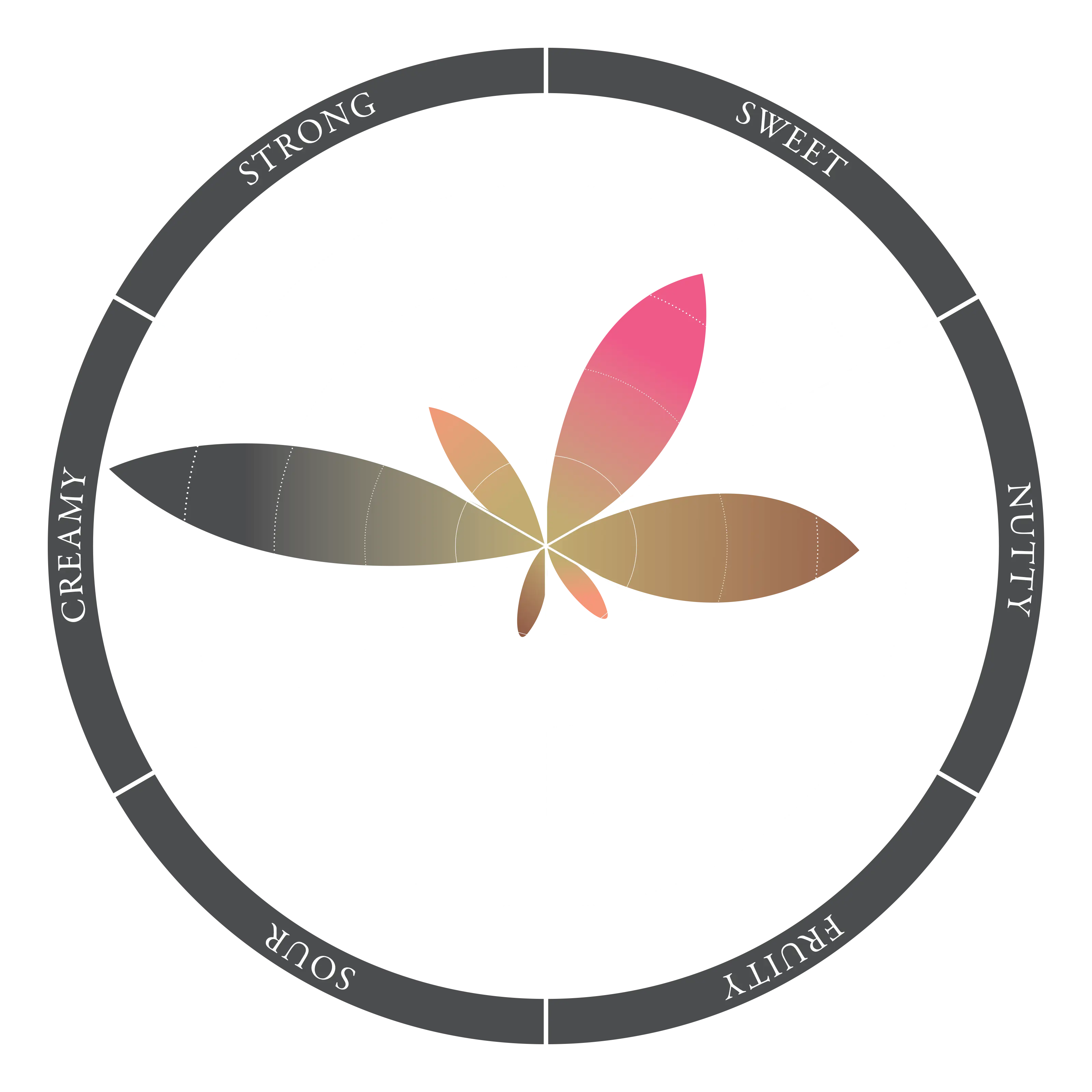 Baxter's Coffee Cream Liqueur Timboon Railway Shed Distillery
